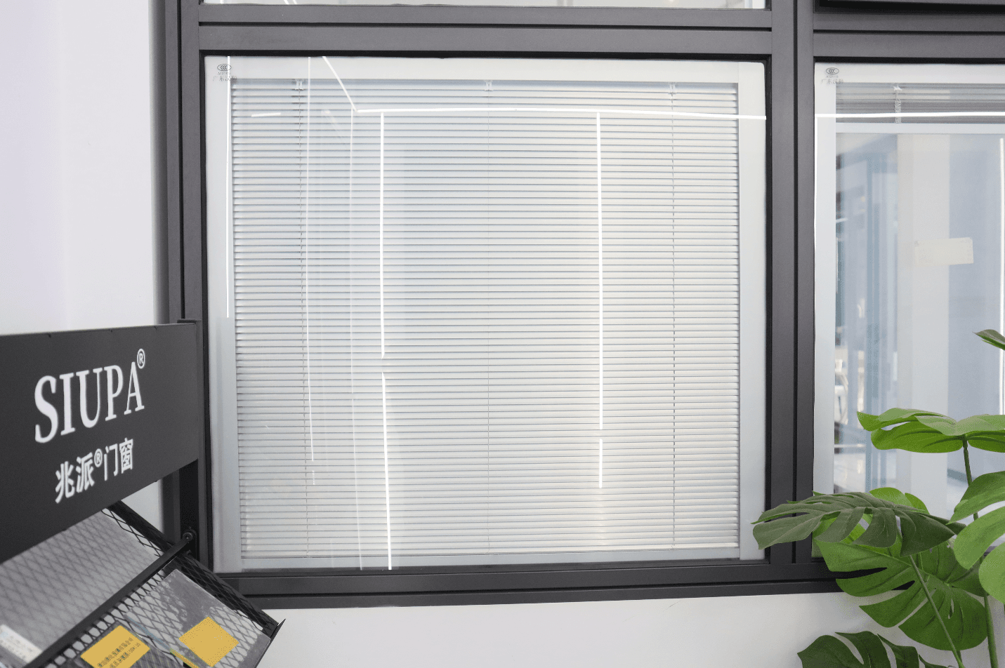 commercial windows
